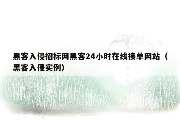 黑客入侵招标网黑客24小时在线接单网站（黑客入侵实例）