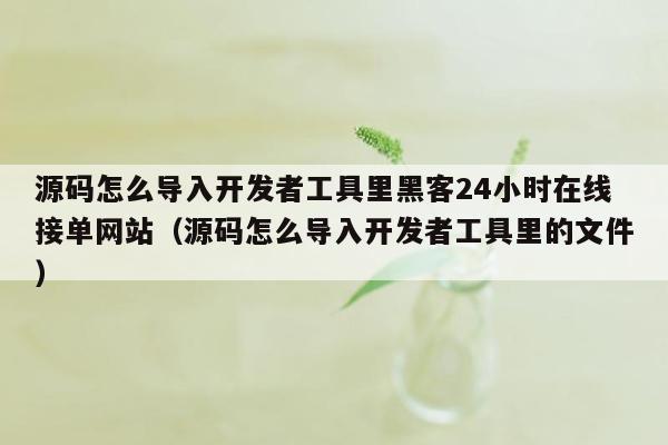 源码怎么导入开发者工具里黑客24小时在线接单网站（源码怎么导入开发者工具里的文件）