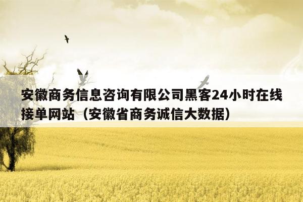 安徽商务信息咨询有限公司黑客24小时在线接单网站（安徽省商务诚信大数据）