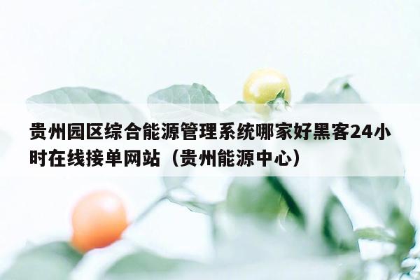 贵州园区综合能源管理系统哪家好黑客24小时在线接单网站（贵州能源中心）