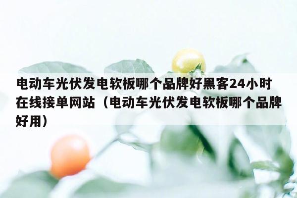 电动车光伏发电软板哪个品牌好黑客24小时在线接单网站（电动车光伏发电软板哪个品牌好用）