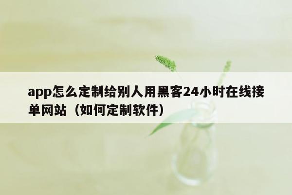 app怎么定制给别人用黑客24小时在线接单网站（如何定制软件）