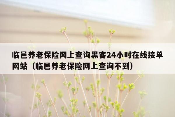 临邑养老保险网上查询黑客24小时在线接单网站（临邑养老保险网上查询不到）