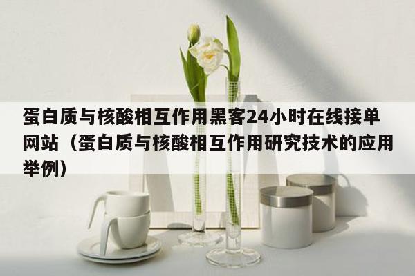 蛋白质与核酸相互作用黑客24小时在线接单网站（蛋白质与核酸相互作用研究技术的应用举例）