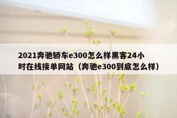 2021奔驰轿车e300怎么样黑客24小时在线接单网站（奔驰e300到底怎么样）