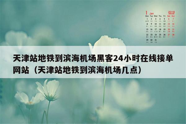 天津站地铁到滨海机场黑客24小时在线接单网站（天津站地铁到滨海机场几点）