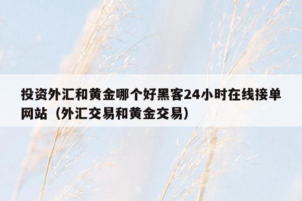 投资外汇和黄金哪个好黑客24小时在线接单网站（外汇交易和黄金交易）