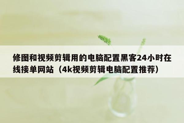 修图和视频剪辑用的电脑配置黑客24小时在线接单网站（4k视频剪辑电脑配置推荐）