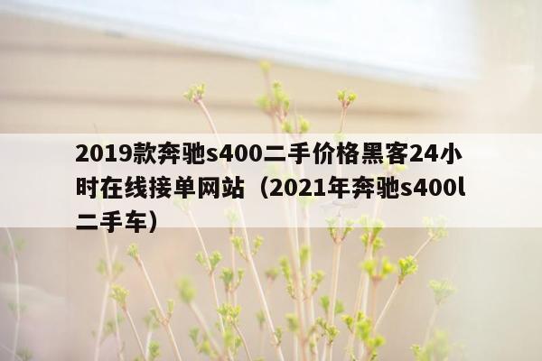 2019款奔驰s400二手价格黑客24小时在线接单网站（2021年奔驰s400l二手车）