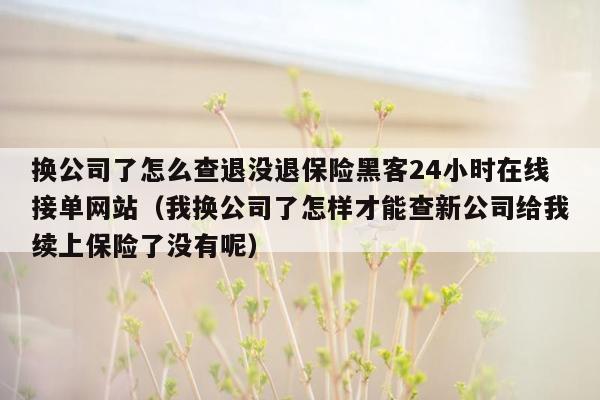 换公司了怎么查退没退保险黑客24小时在线接单网站（我换公司了怎样才能查新公司给我续上保险了没有呢）