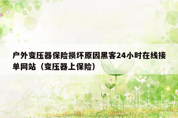 户外变压器保险损坏原因黑客24小时在线接单网站（变压器上保险）