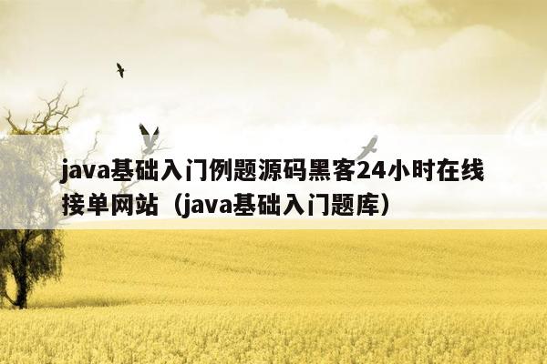 java基础入门例题源码黑客24小时在线接单网站（java基础入门题库）