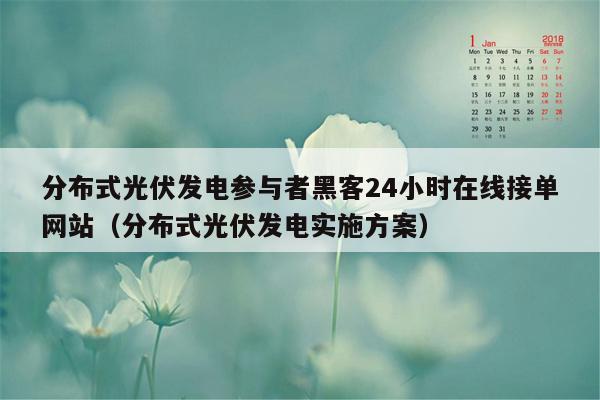 分布式光伏发电参与者黑客24小时在线接单网站（分布式光伏发电实施方案）