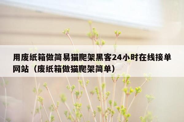 用废纸箱做简易猫爬架黑客24小时在线接单网站（废纸箱做猫爬架简单）