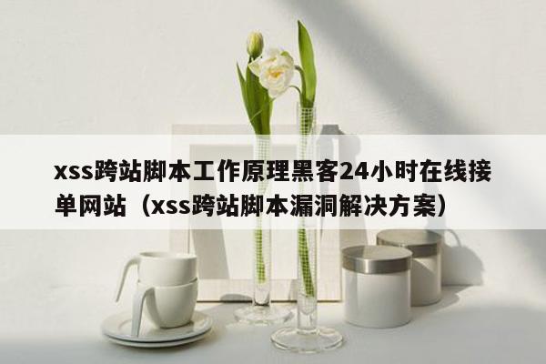 xss跨站脚本工作原理黑客24小时在线接单网站（xss跨站脚本漏洞解决方案）