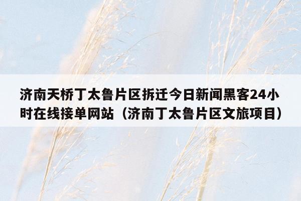 济南天桥丁太鲁片区拆迁今日新闻黑客24小时在线接单网站（济南丁太鲁片区文旅项目）