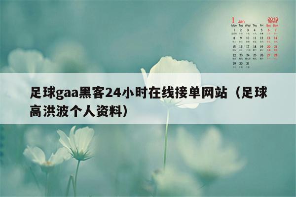 足球gaa黑客24小时在线接单网站（足球高洪波个人资料）