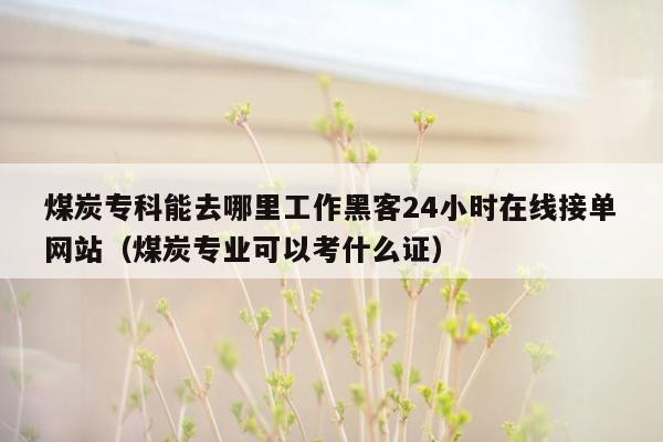 煤炭专科能去哪里工作黑客24小时在线接单网站（煤炭专业可以考什么证）