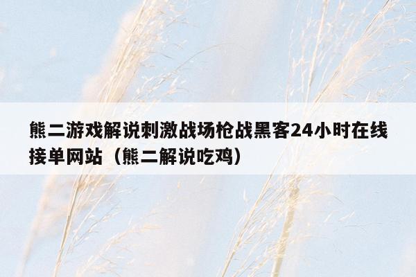 熊二游戏解说刺激战场枪战黑客24小时在线接单网站（熊二解说吃鸡）