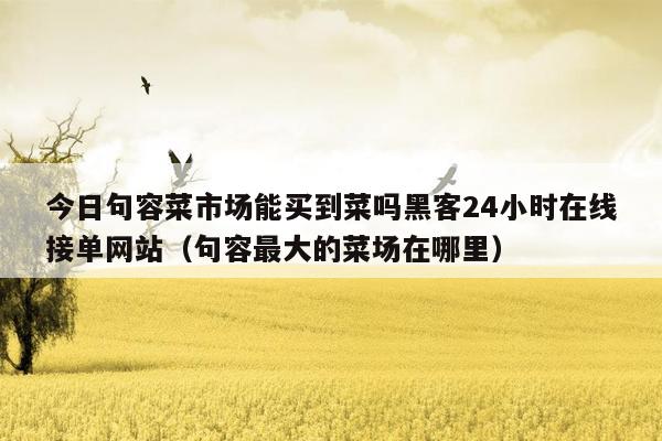 今日句容菜市场能买到菜吗黑客24小时在线接单网站（句容最大的菜场在哪里）