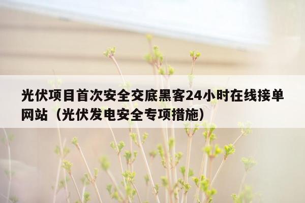 光伏项目首次安全交底黑客24小时在线接单网站（光伏发电安全专项措施）