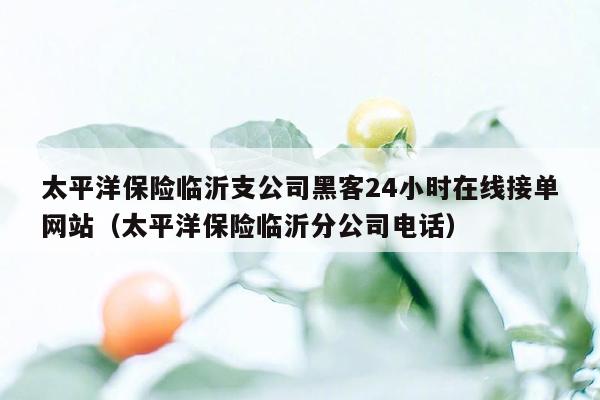 太平洋保险临沂支公司黑客24小时在线接单网站（太平洋保险临沂分公司电话）