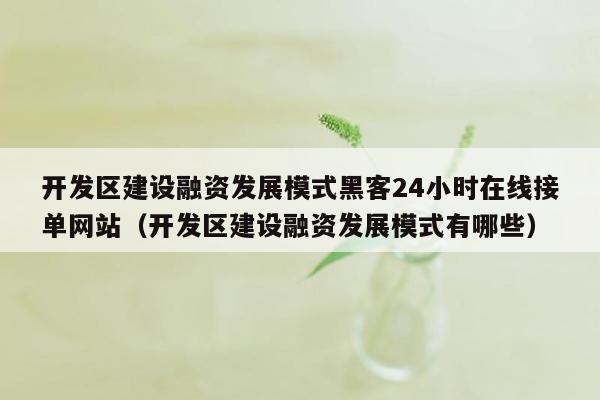 开发区建设融资发展模式黑客24小时在线接单网站（开发区建设融资发展模式有哪些）