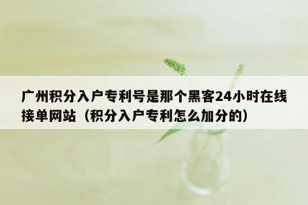 广州积分入户专利号是那个黑客24小时在线接单网站（积分入户专利怎么加分的）