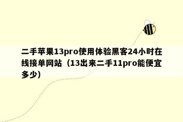 二手苹果13pro使用体验黑客24小时在线接单网站（13出来二手11pro能便宜多少）