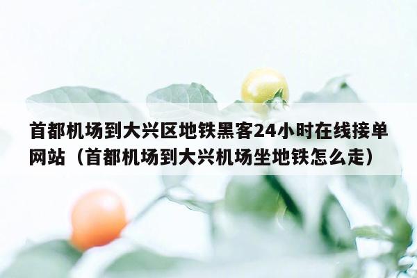 首都机场到大兴区地铁黑客24小时在线接单网站（首都机场到大兴机场坐地铁怎么走）