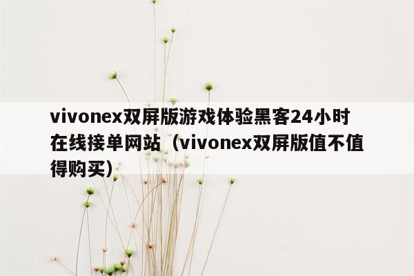 vivonex双屏版游戏体验黑客24小时在线接单网站（vivonex双屏版值不值得购买）