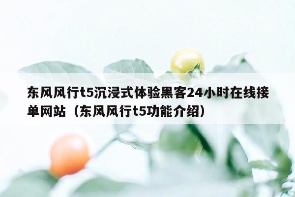 东风风行t5沉浸式体验黑客24小时在线接单网站（东风风行t5功能介绍）