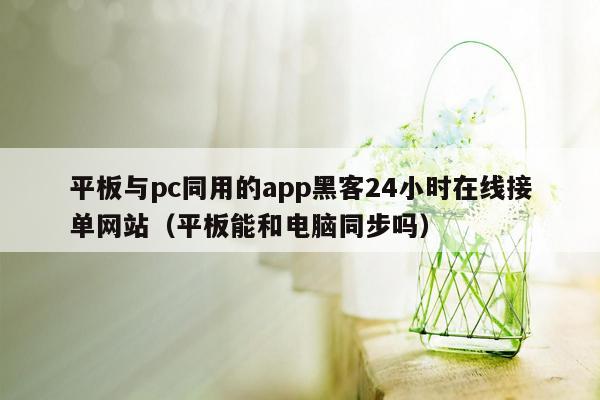 平板与pc同用的app黑客24小时在线接单网站（平板能和电脑同步吗）