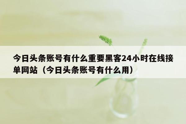 今日头条账号有什么重要黑客24小时在线接单网站（今日头条账号有什么用）