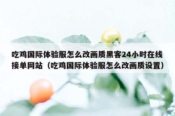 吃鸡国际体验服怎么改画质黑客24小时在线接单网站（吃鸡国际体验服怎么改画质设置）