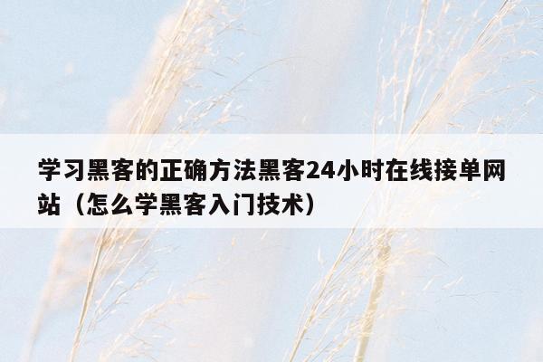 学习黑客的正确方法黑客24小时在线接单网站（怎么学黑客入门技术）