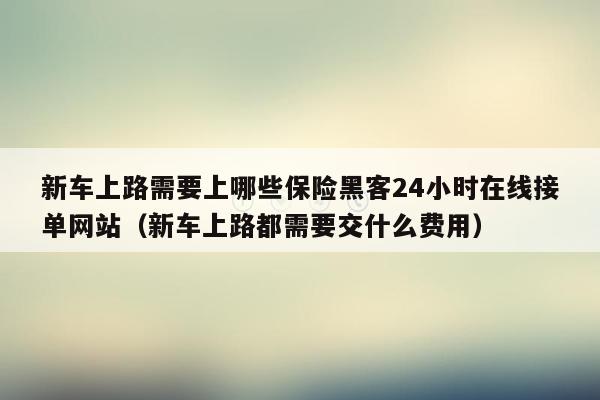 新车上路需要上哪些保险黑客24小时在线接单网站（新车上路都需要交什么费用）