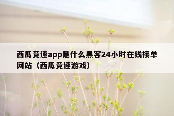 西瓜竞速app是什么黑客24小时在线接单网站（西瓜竞速游戏）