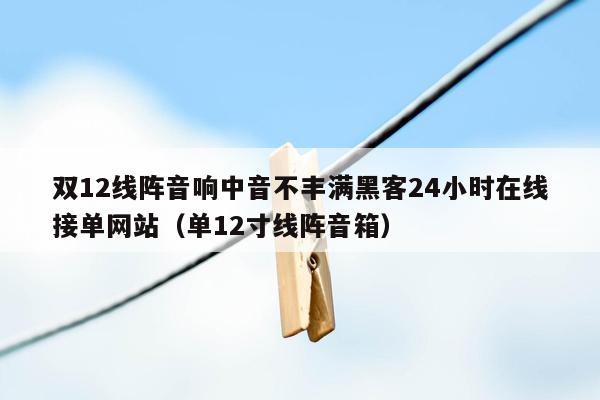 双12线阵音响中音不丰满黑客24小时在线接单网站（单12寸线阵音箱）