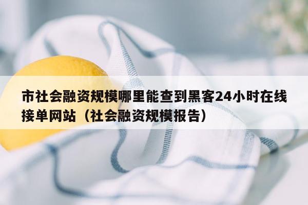 市社会融资规模哪里能查到黑客24小时在线接单网站（社会融资规模报告）