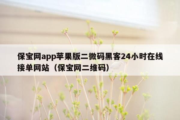 保宝网app苹果版二微码黑客24小时在线接单网站（保宝网二维码）