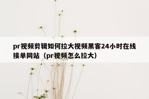 pr视频剪辑如何拉大视频黑客24小时在线接单网站（pr视频怎么拉大）