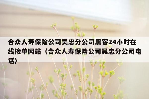 合众人寿保险公司吴忠分公司黑客24小时在线接单网站（合众人寿保险公司吴忠分公司电话）