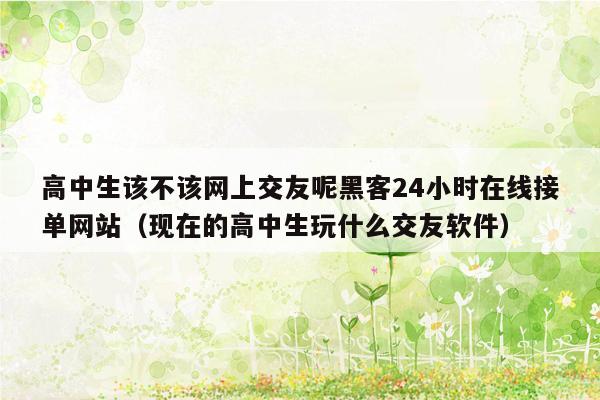 高中生该不该网上交友呢黑客24小时在线接单网站（现在的高中生玩什么交友软件）