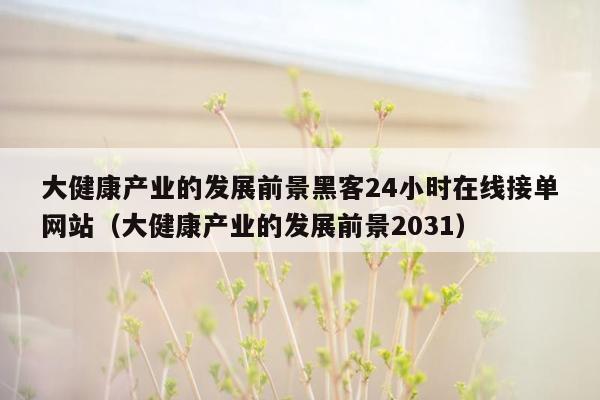 大健康产业的发展前景黑客24小时在线接单网站（大健康产业的发展前景2031）