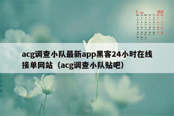 acg调查小队最新app黑客24小时在线接单网站（acg调查小队贴吧）