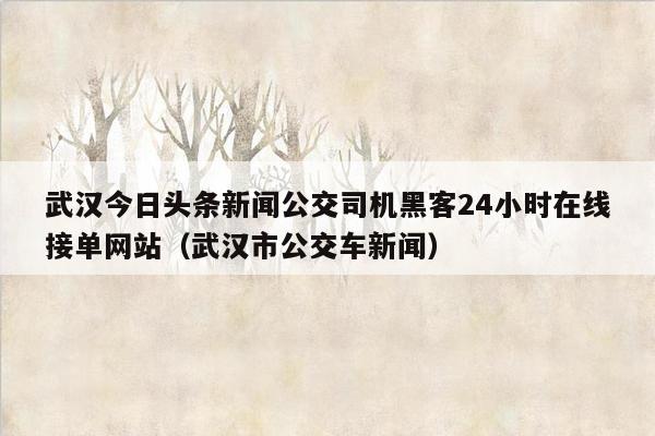 武汉今日头条新闻公交司机黑客24小时在线接单网站（武汉市公交车新闻）