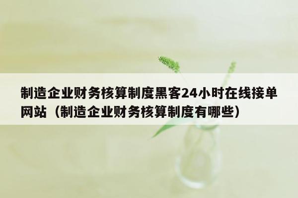 制造企业财务核算制度黑客24小时在线接单网站（制造企业财务核算制度有哪些）