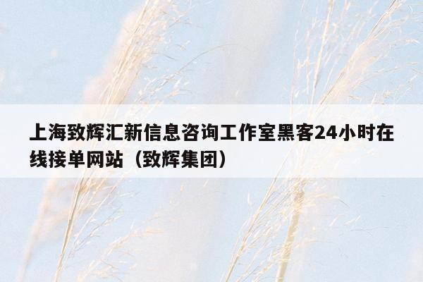 上海致辉汇新信息咨询工作室黑客24小时在线接单网站（致辉集团）