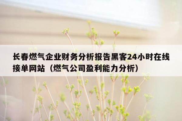 长春燃气企业财务分析报告黑客24小时在线接单网站（燃气公司盈利能力分析）